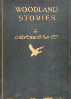 Woodland Stories by Batten H Mortimer